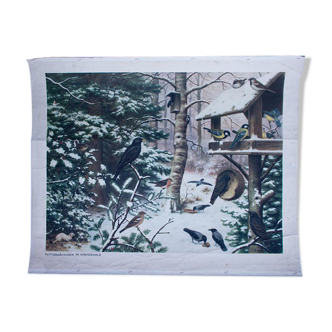 "Bird in winter House" poster print Offset1964