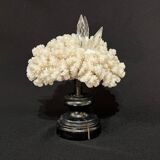 Corail blanc naturel ancien et cristal sur socle en bois napoléon iii xixe cabinet de curiosités