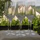 Set of 6 ARQUES crystal champagne flutes. BAVELLA model.