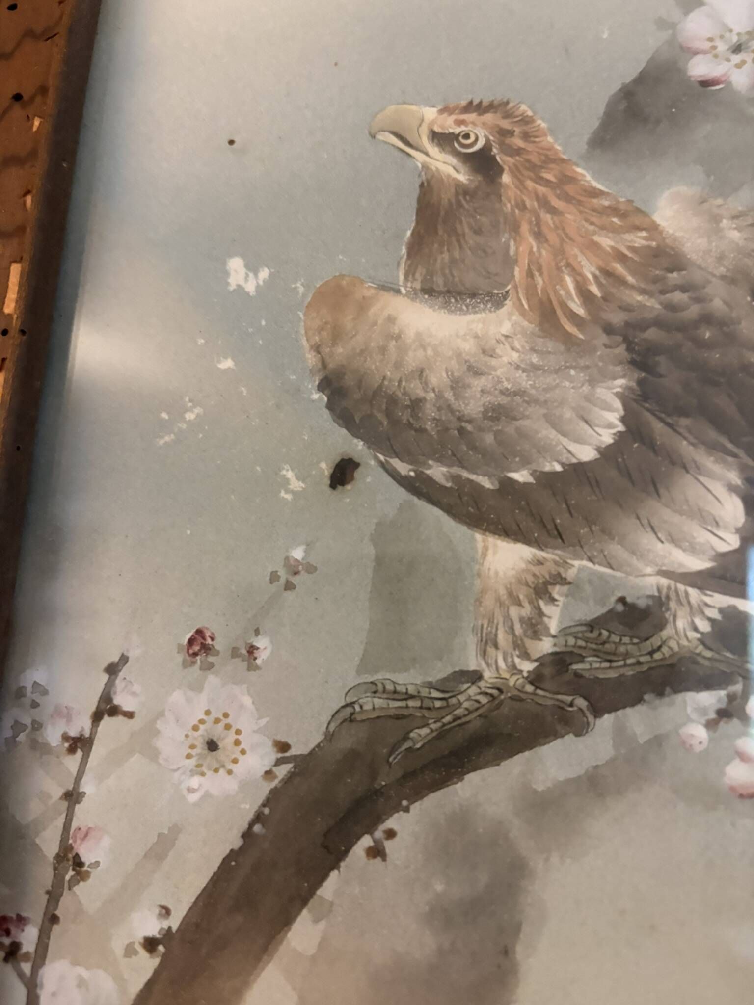 Japanese Sumi-e Painting Eagle Plum Blossom Japan Kakemono Kacho-ga