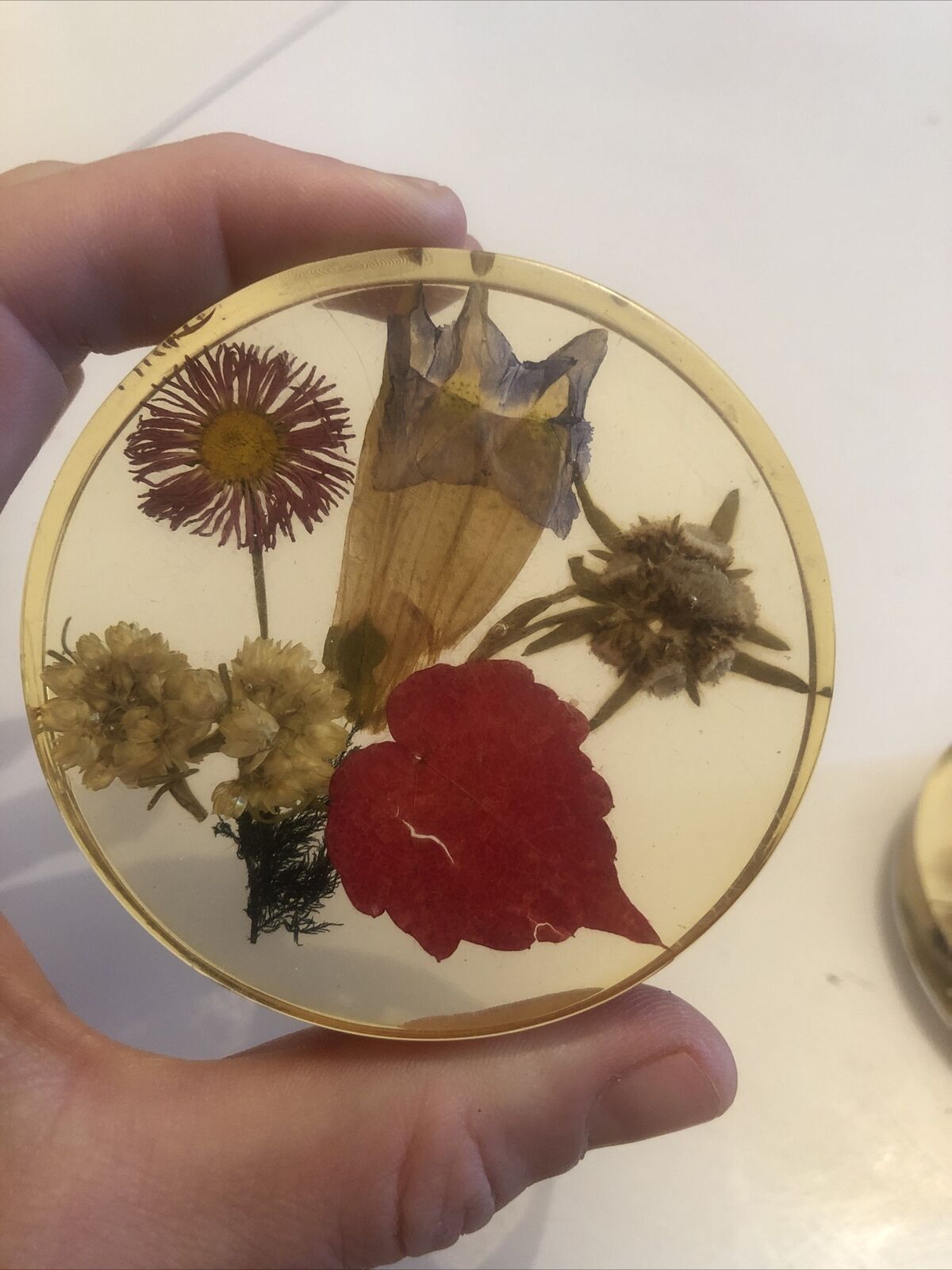Lot 6 under glass botanical inclusion in resin genuine vintage flowers