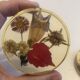 Lot 6 under glass botanical inclusion in resin genuine vintage flowers