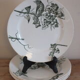 P.Luce Paris 5 Flat plates in Iron Earth bird décor