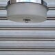 Czechoslovakian frosted glass pendant light