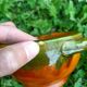 Cache-pot Vallauris