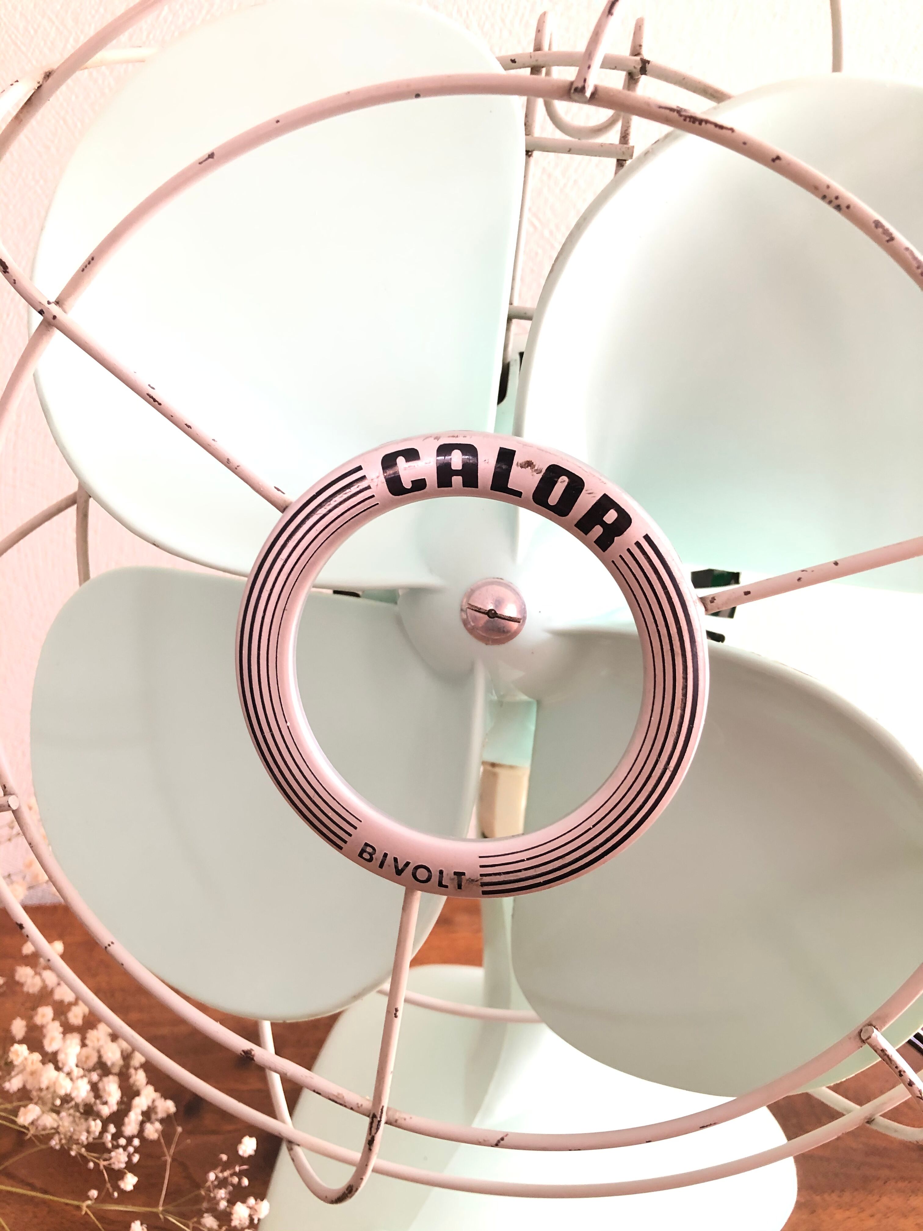 Calor Minth Vintage Fan