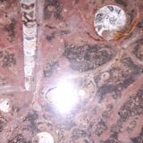 Coffee table  fossilifere top