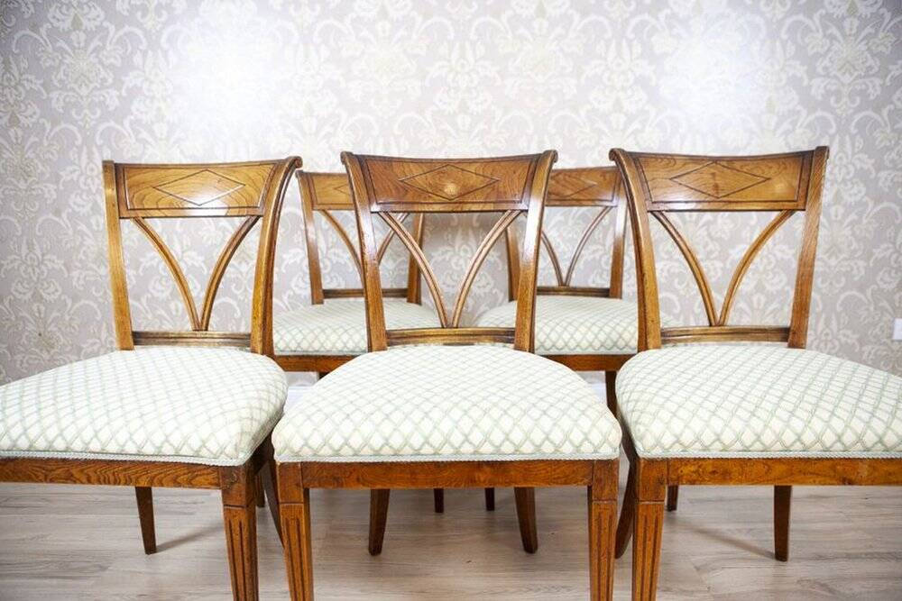 Vintage Elm Chairs in White Upholstery, 1950s, Set of 5