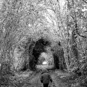 Enfant des bois