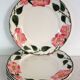 6 assiettes plates Villeroy & Boch "Wild rose", 1970