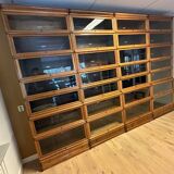 Large Globe Wernicke Bookcase
