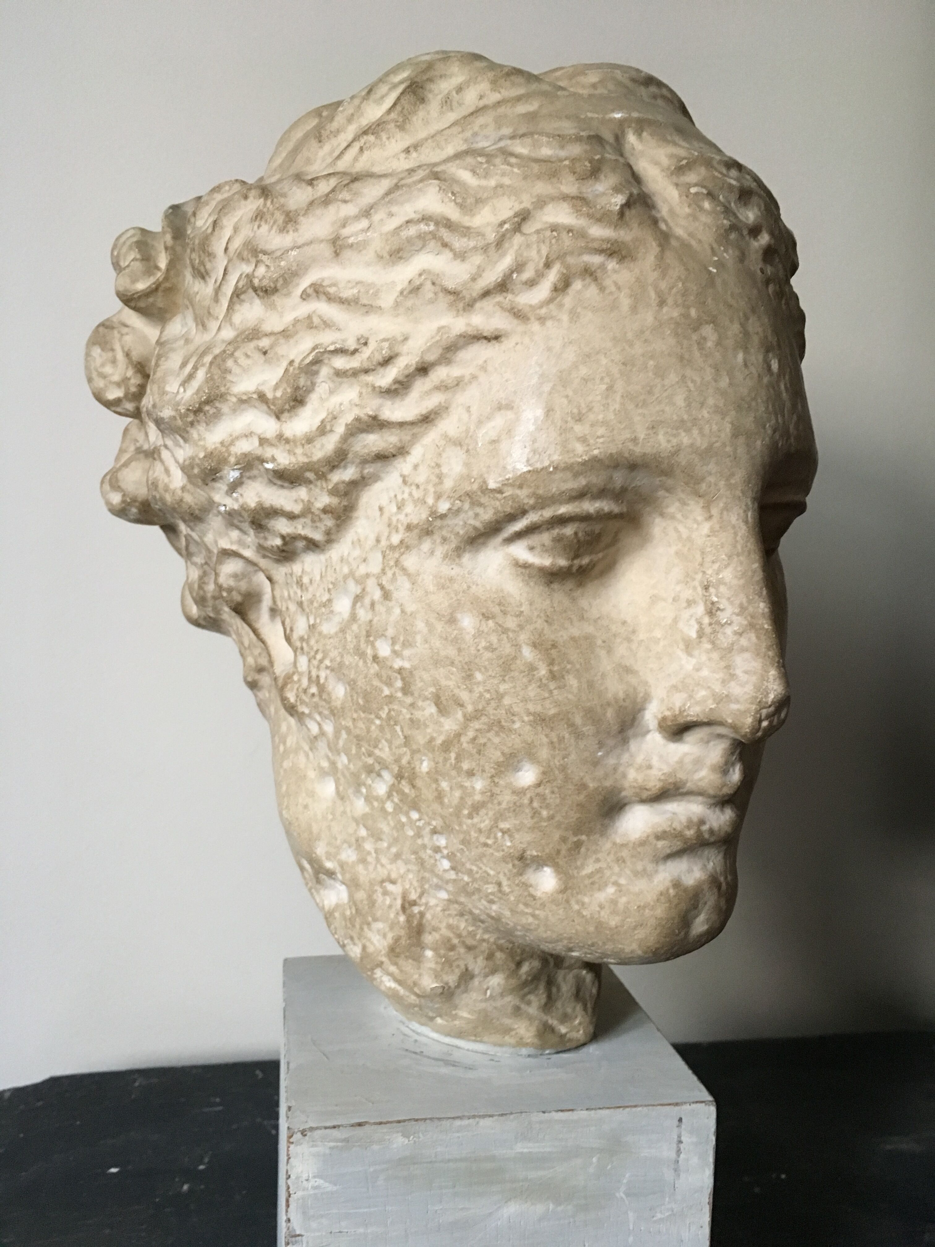19th time Hygeia plaster bust