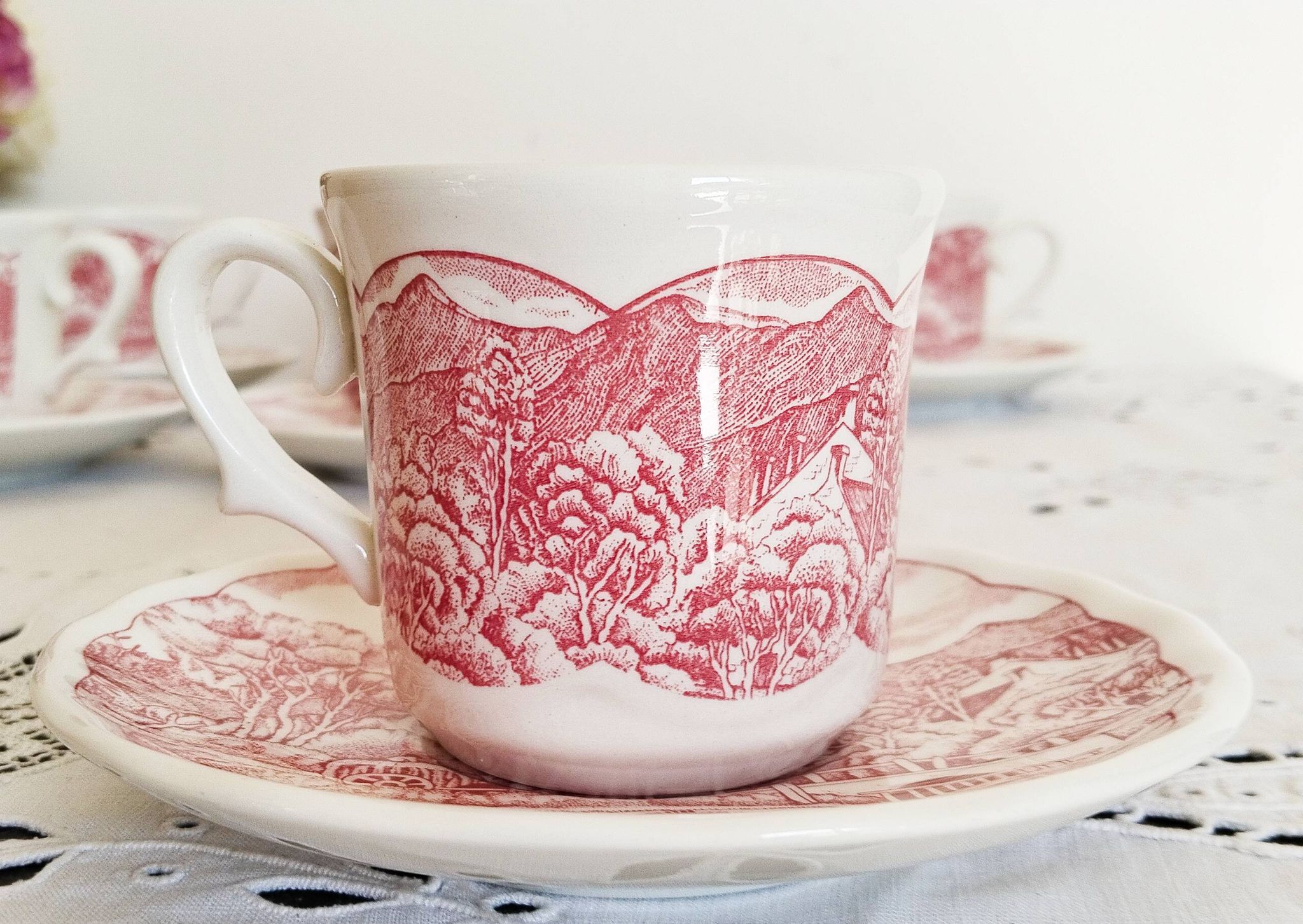 Vintage red earthenware coffee set, Swiss Landscape, Italy