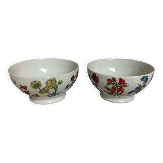 Duo de bols fleurs porcelaine de Paris
