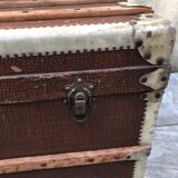 Vintage Travel Trunk