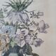 Floral engraving reproduction