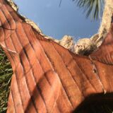 Brutalist mirror fish