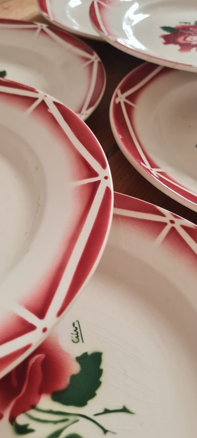 Service of 10 plates in Digoin earthenware