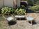 Rattan lounge
