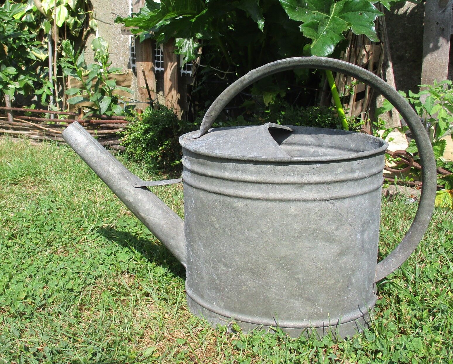 Old zinc watering canvf3