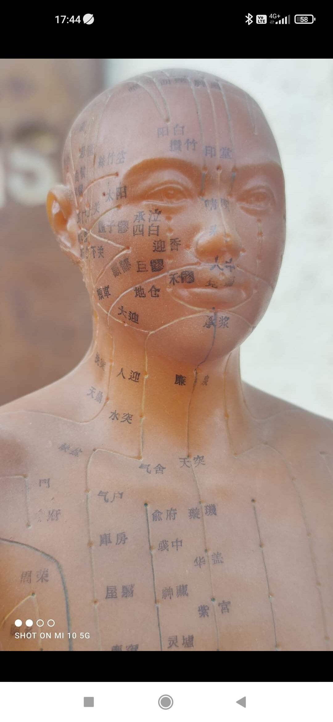 Acupuncture mannequin circa 1960