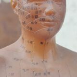 Acupuncture mannequin circa 1960