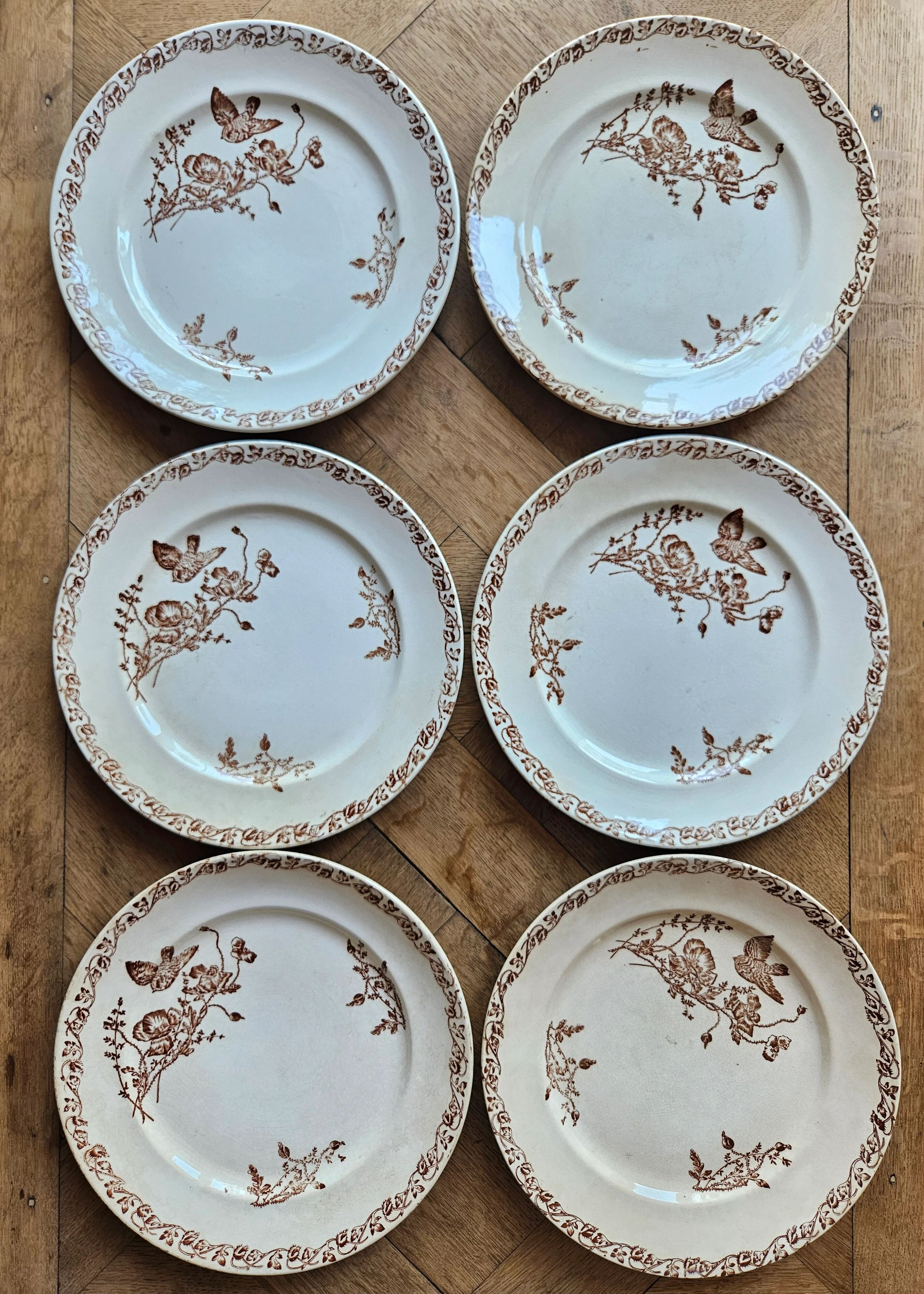 Flat plates, ironstone, poppies