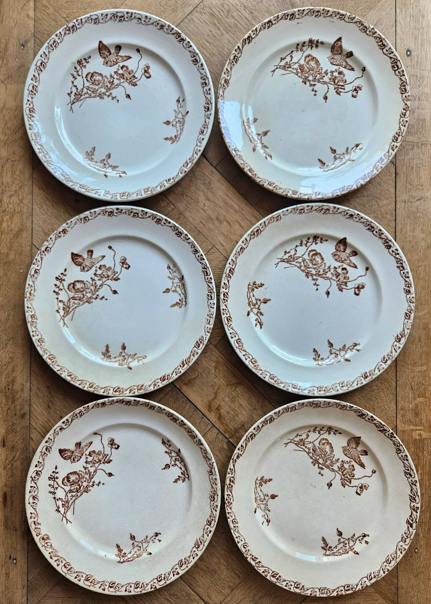 Flat plates, ironstone, poppies