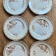 Flat plates, ironstone, poppies