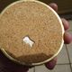 Series of 12 vintage mother-of-pearl coasters