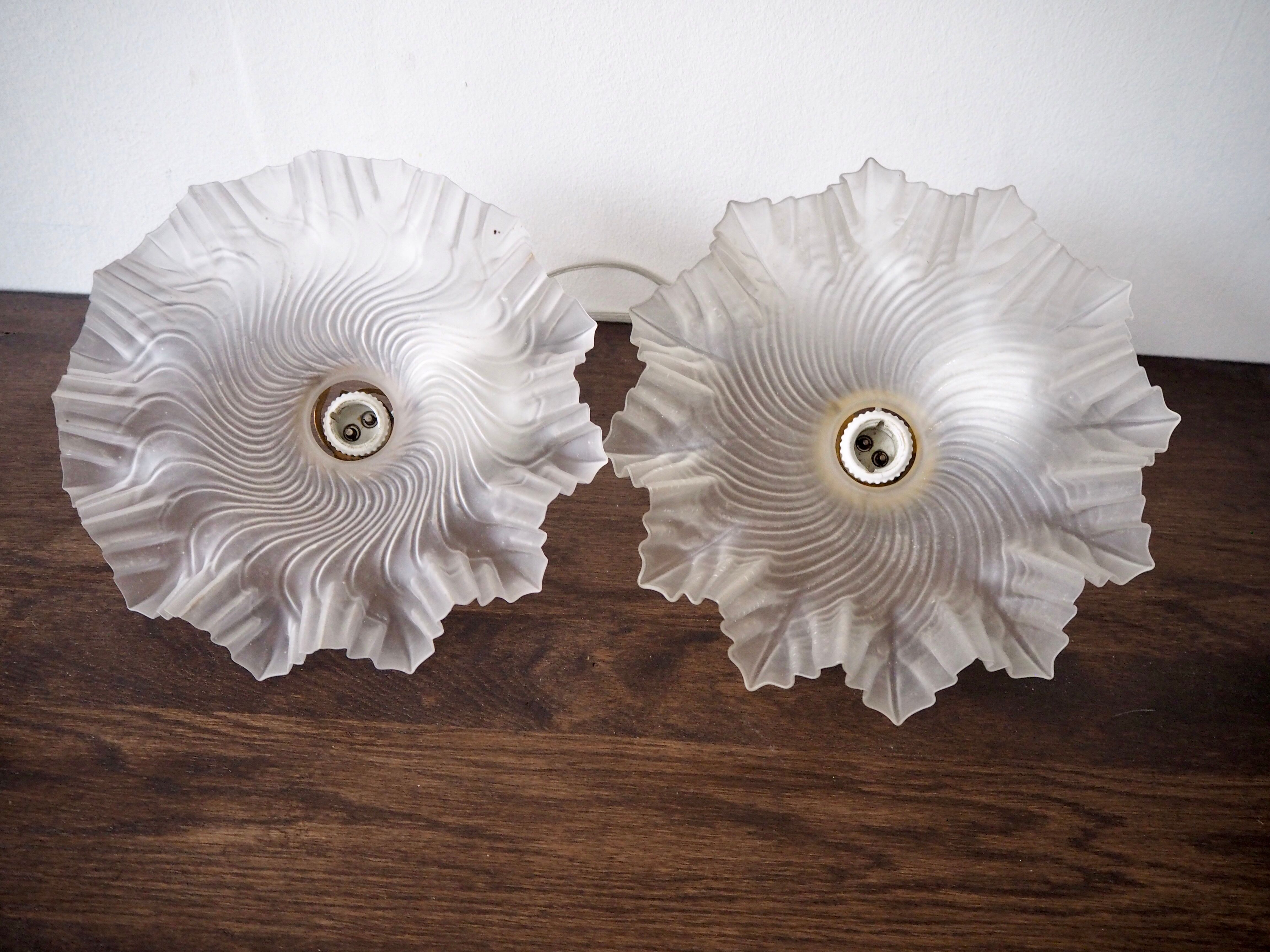 Pair of frosted glass flower pendant lamps