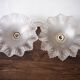 Pair of frosted glass flower pendant lamps