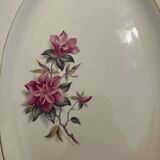 Dish
