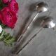 Bamboo service covers covered with antique silver metal salad italy