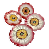 4 plates slip eglantine Massier Vallauris
