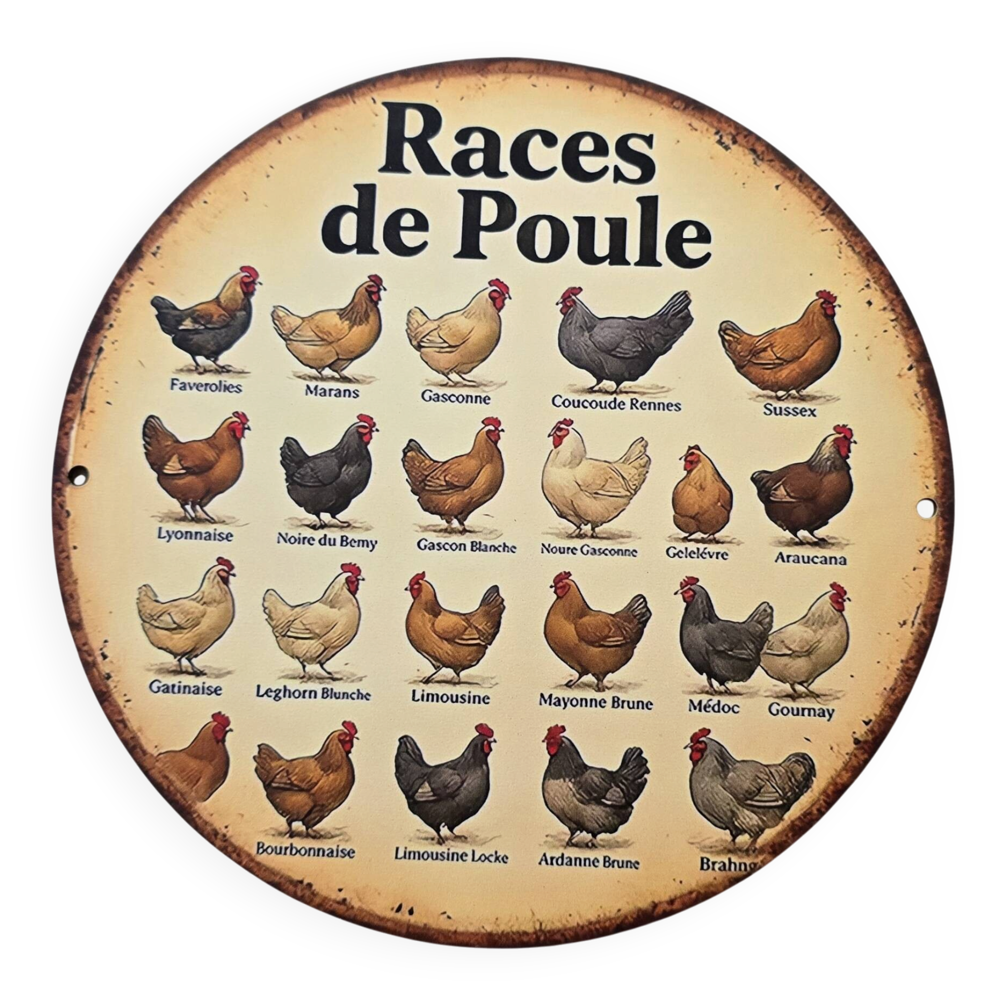 Décoration murale thème poules