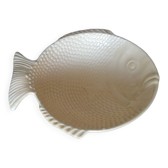 Fish dish