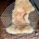 Chaise Diamant