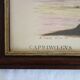 2 plates of ornithological bird engravings