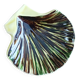 St-Clement seashell butter dish
