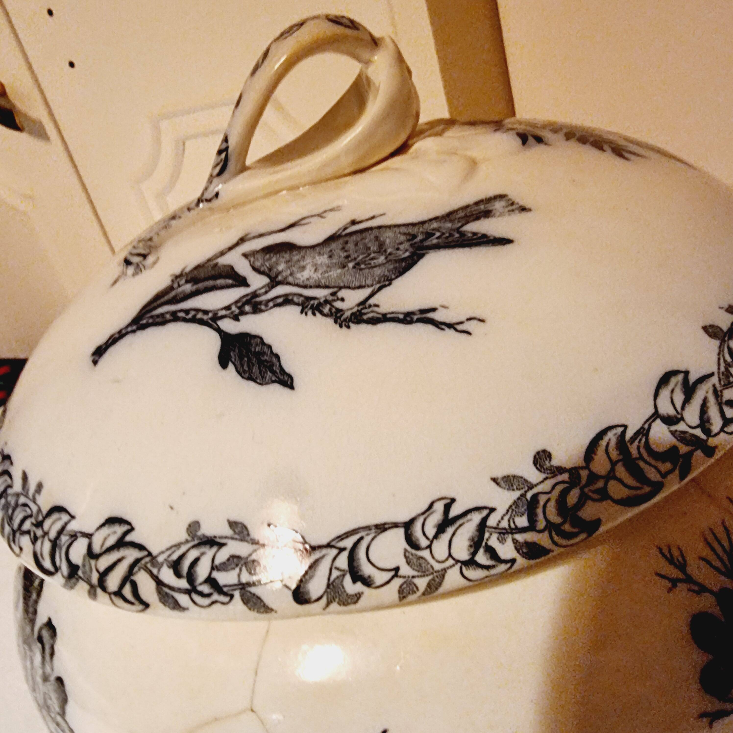 Antique Gien Translucent Porcelain Tureen in Gien Earthenware from 1900