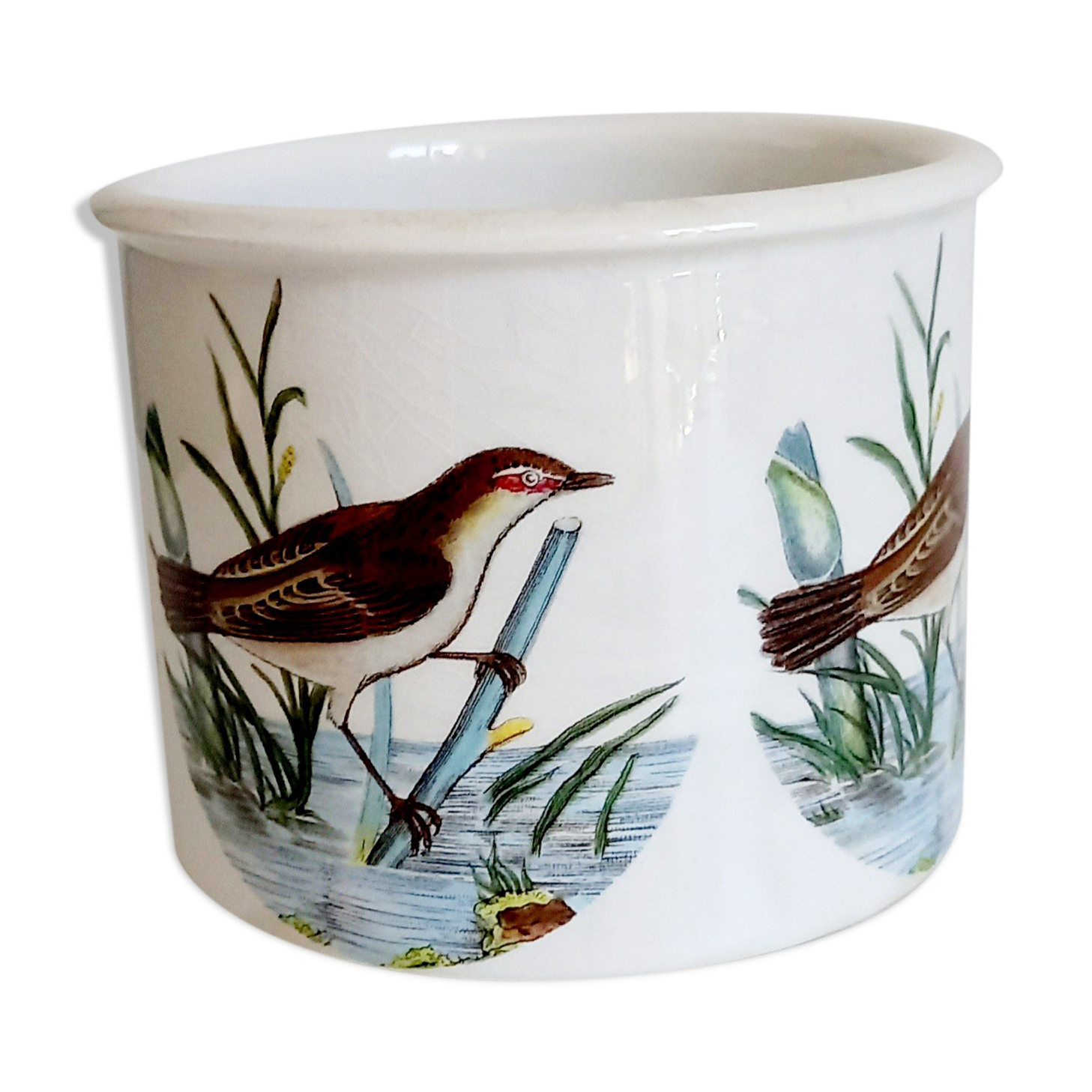 Cache pot Portmeirion