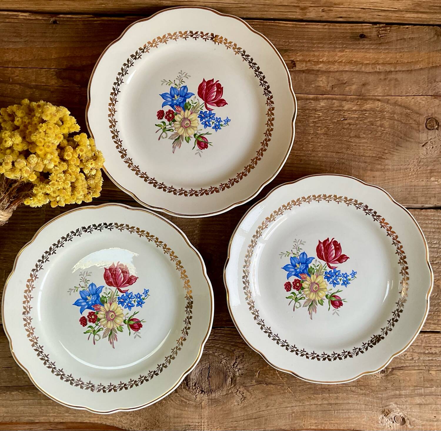 6 Sarreguemines plates