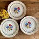 6 Sarreguemines plates