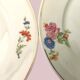 Set of 11 flat plates flowered porcelain