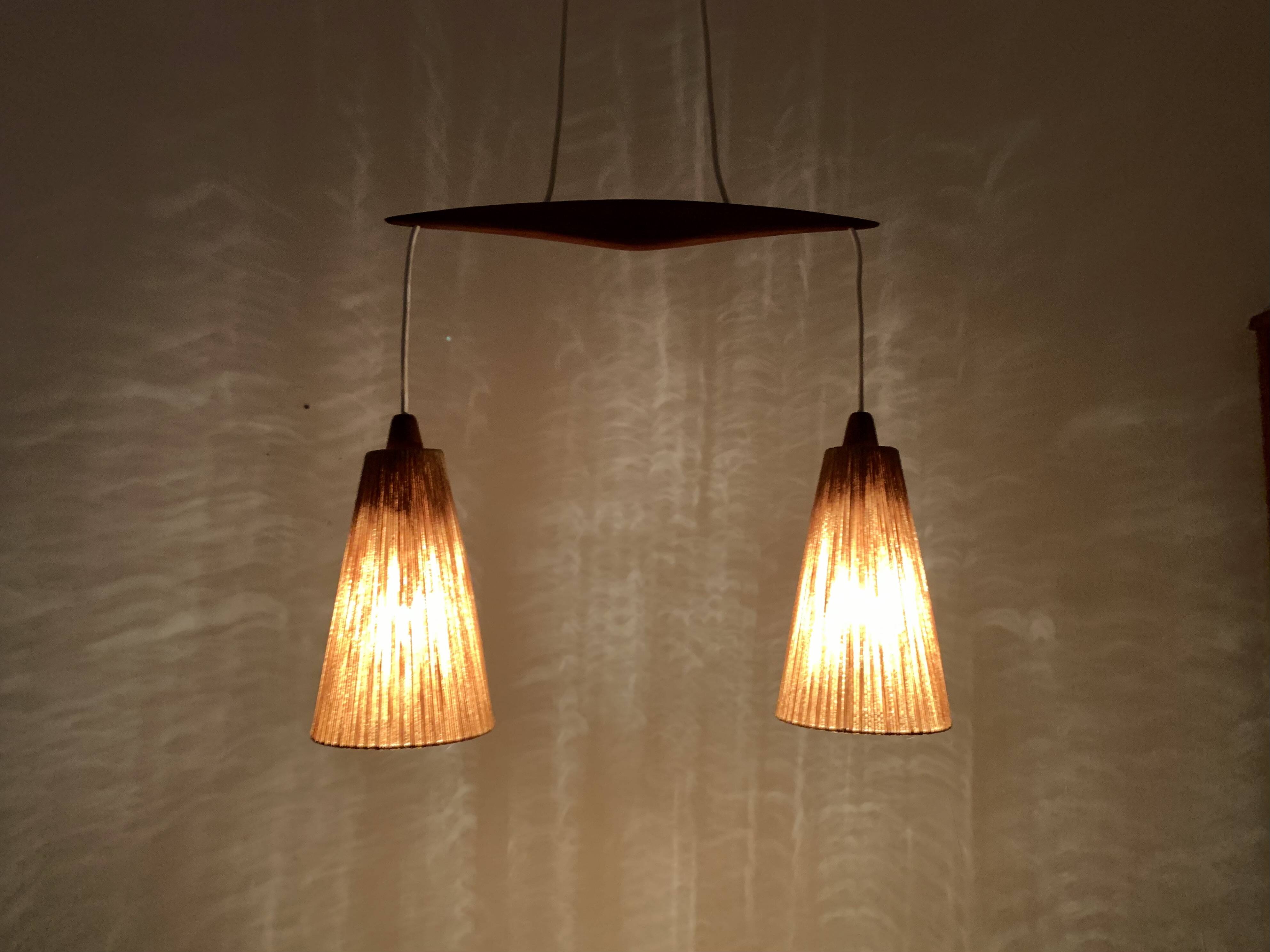 Teakwood and Sisal Pendant Lamp by Temde