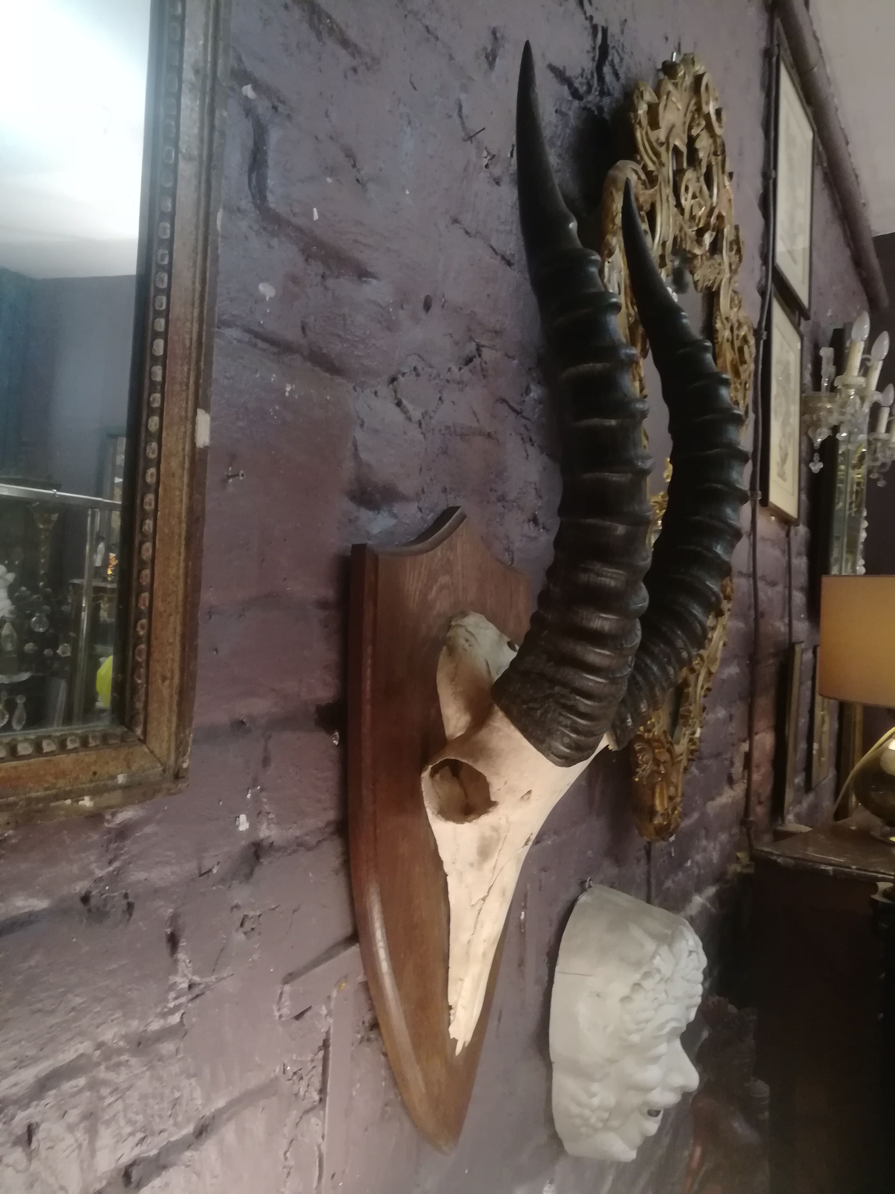 Antelope trophy massacre