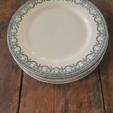 Serving of 6 plates in iron earth, Salins