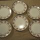 Set of 6 flat plates earthenware Salins decoration Jurançon hand painted