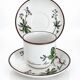 Cup Chelidonium Majus & Saucer Asperula Odorata - Villeroy & Boch Botanica